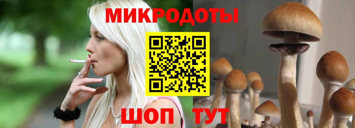 Псилоцибиновые грибы Magic Shrooms Вязники
